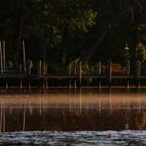IMG_9596-choptank-pier on river-june 2020-lores
