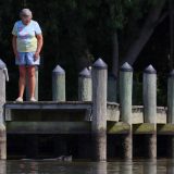 IMG_9748-choptank-lady-dog swim-june 2020-lores